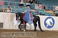 10yn-13152 proof