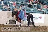 10yn-13153 proof