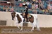 10yn-17121 proof