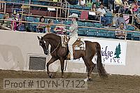 10yn-17122 proof