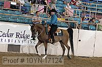 10yn-17124 proof