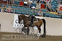 10yn-17128 proof