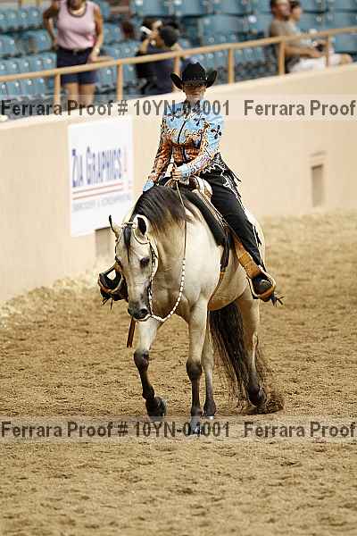 Proof 10yn-04001