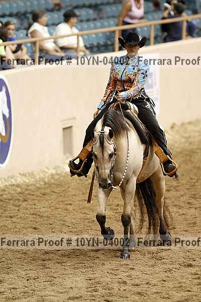 Proof 10yn-04002
