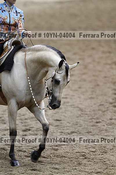 Proof 10yn-04004