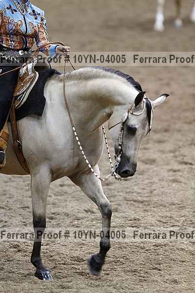 Proof 10yn-04005