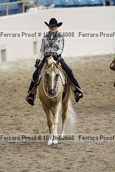 Proof 10yn-04008