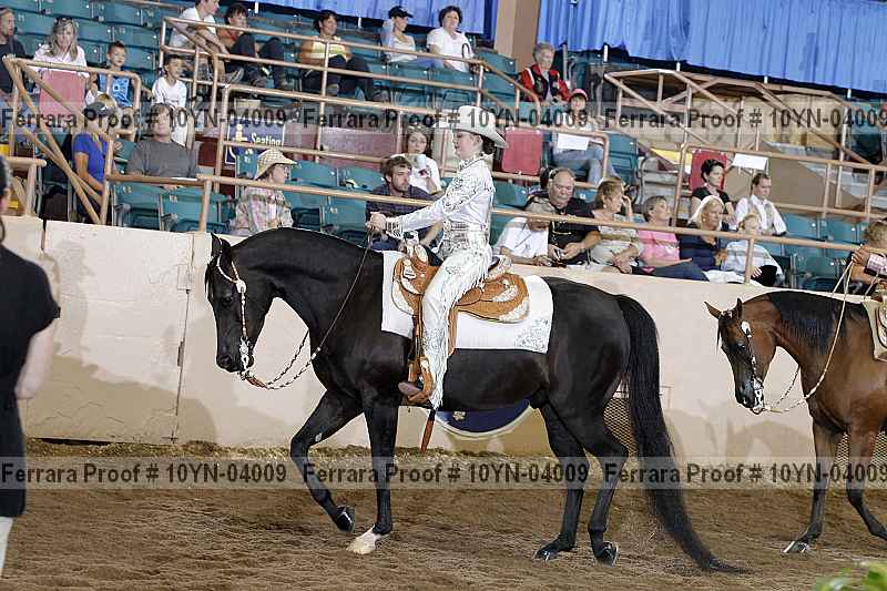 Proof 10yn-04009