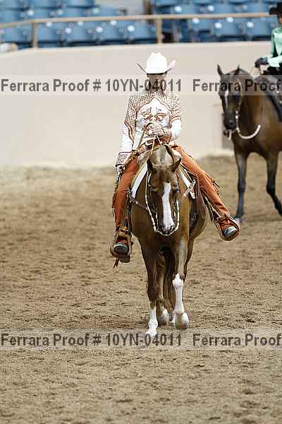 Proof 10yn-04011