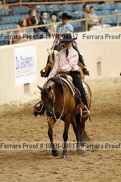 Proof 10yn-04017