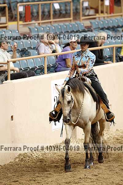 Proof 10yn-04019