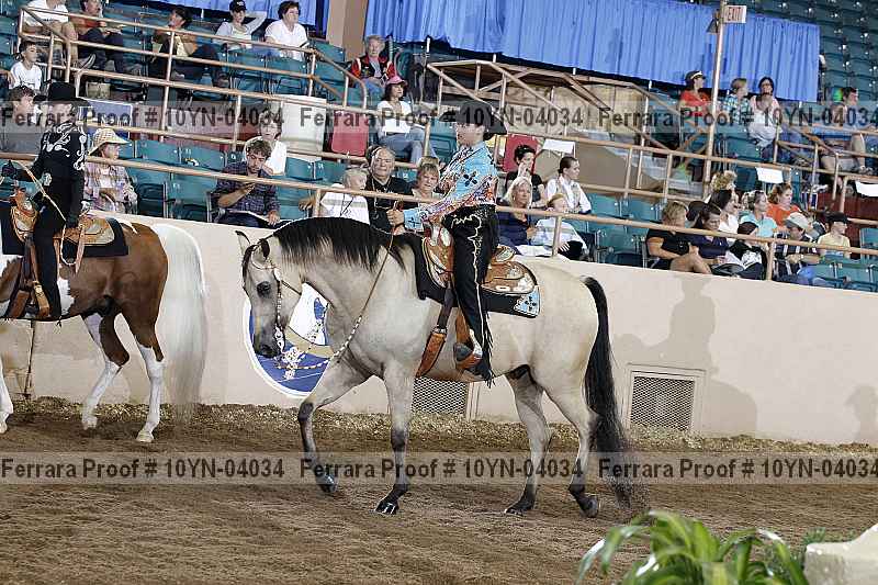 Proof 10yn-04034