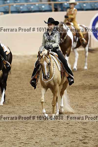 Proof 10yn-04038