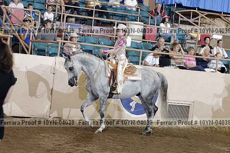 Proof 10yn-04039