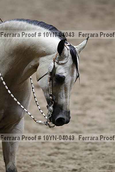 Proof 10yn-04043