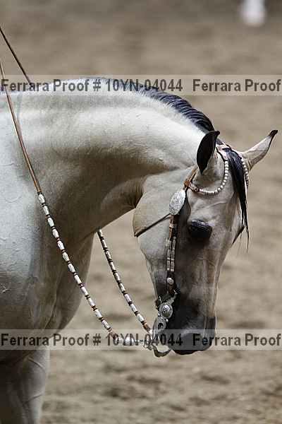 Proof 10yn-04044