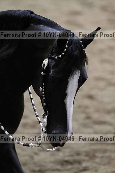 Proof 10yn-04046