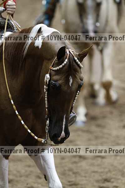 Proof 10yn-04047