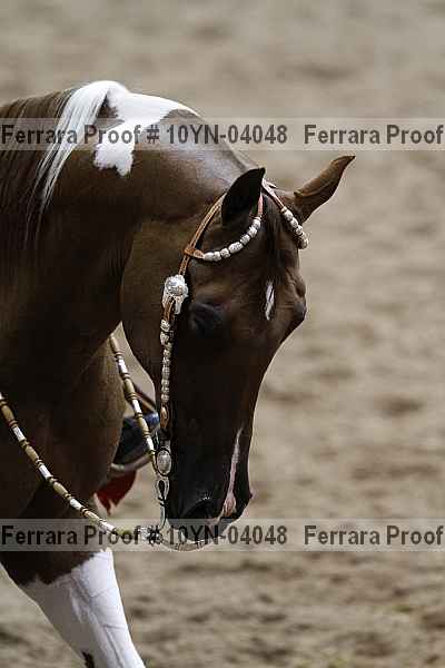 Proof 10yn-04048