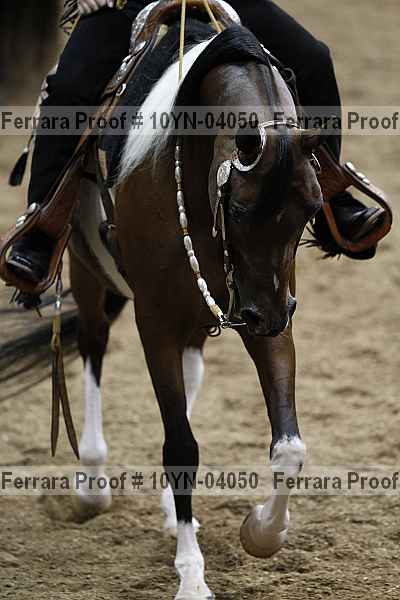 Proof 10yn-04050