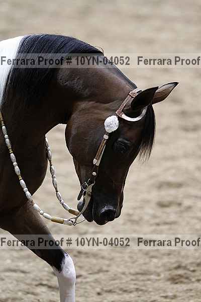 Proof 10yn-04052