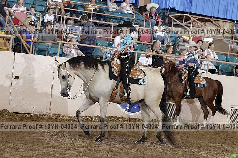 Proof 10yn-04054