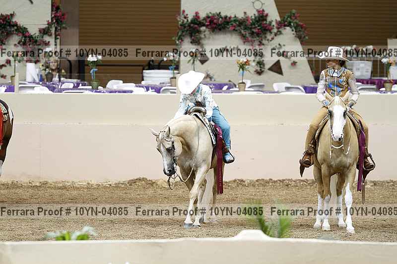 Proof 10yn-04085