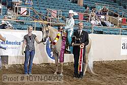 10yn-04092 proof