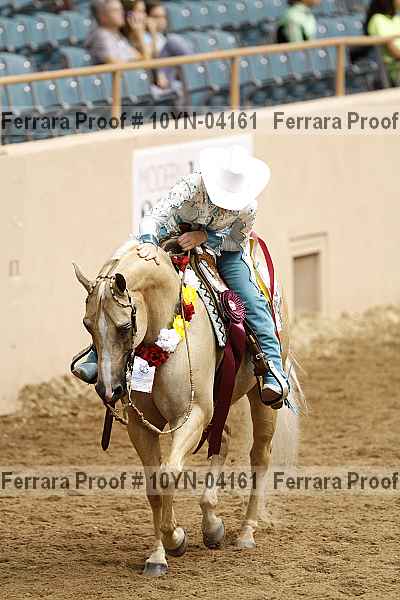 Proof 10yn-04161