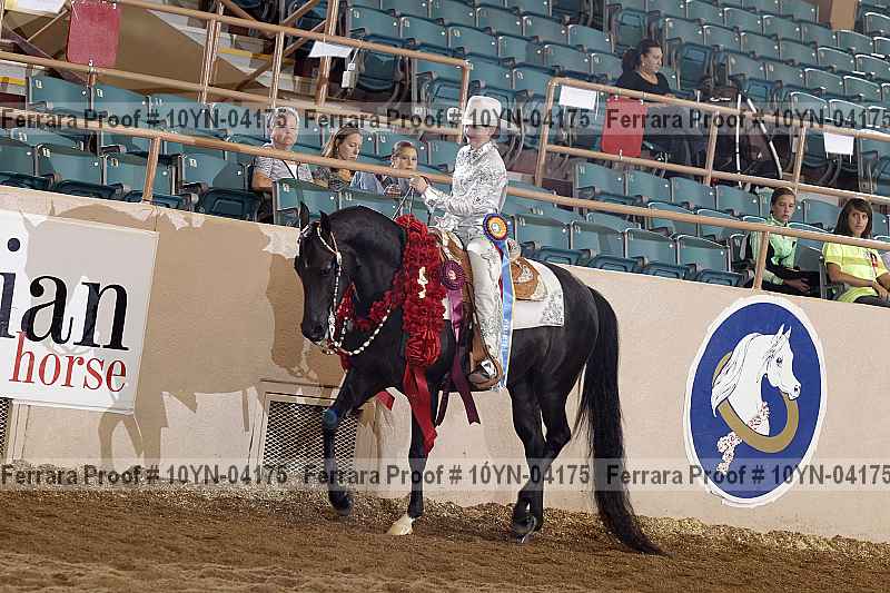 Proof 10yn-04175