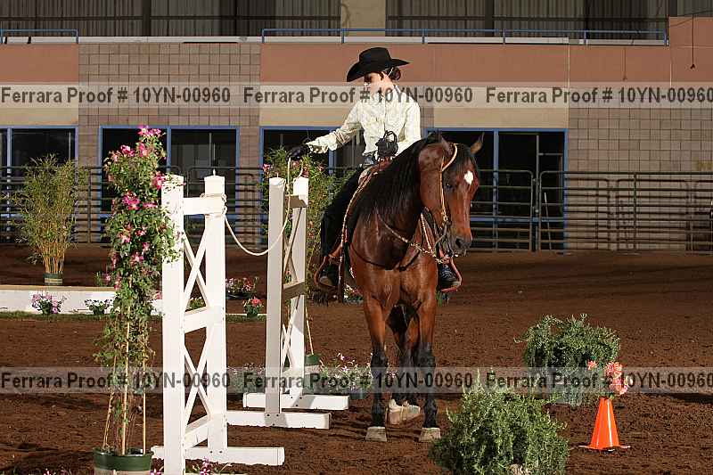 Proof 10yn-00960