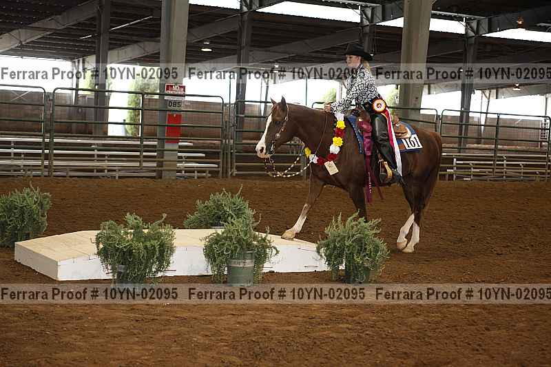 Proof 10yn-02095