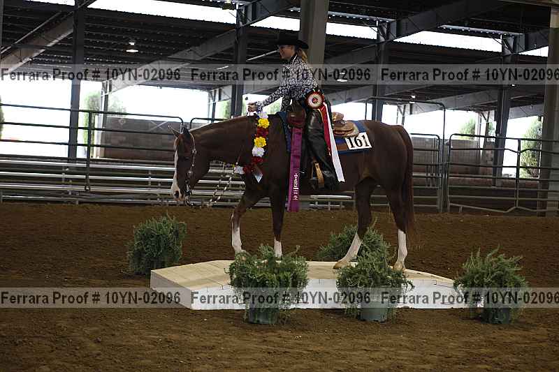 Proof 10yn-02096