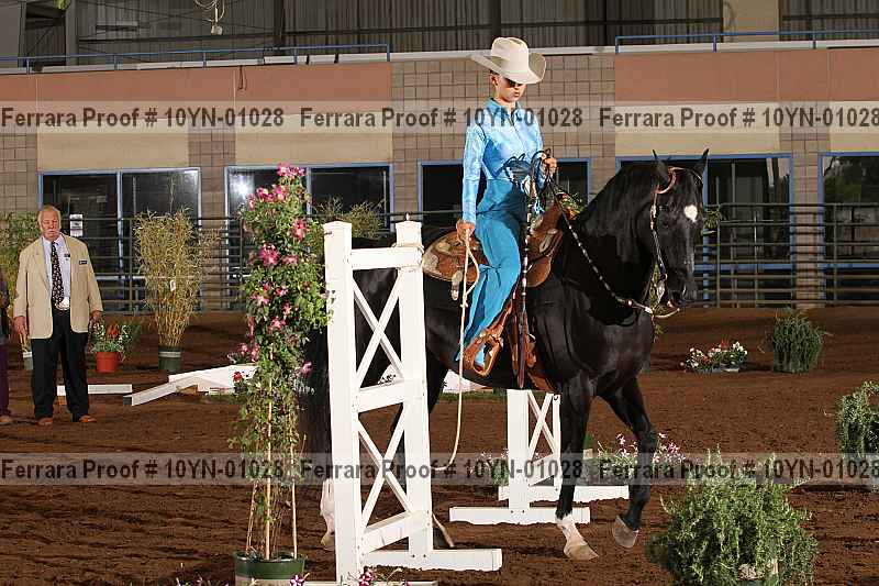 Proof 10yn-01028