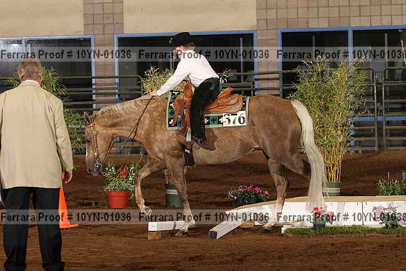 Proof 10yn-01036