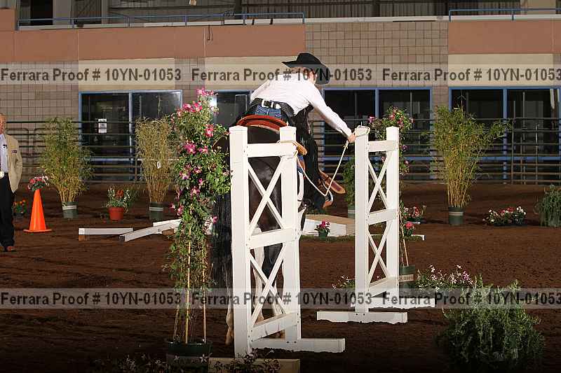 Proof 10yn-01053