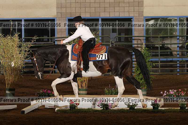 Proof 10yn-01056