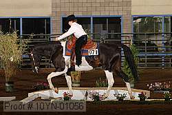 10yn-01056 proof
