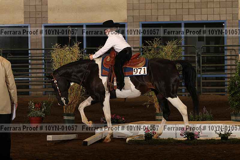 Proof 10yn-01057