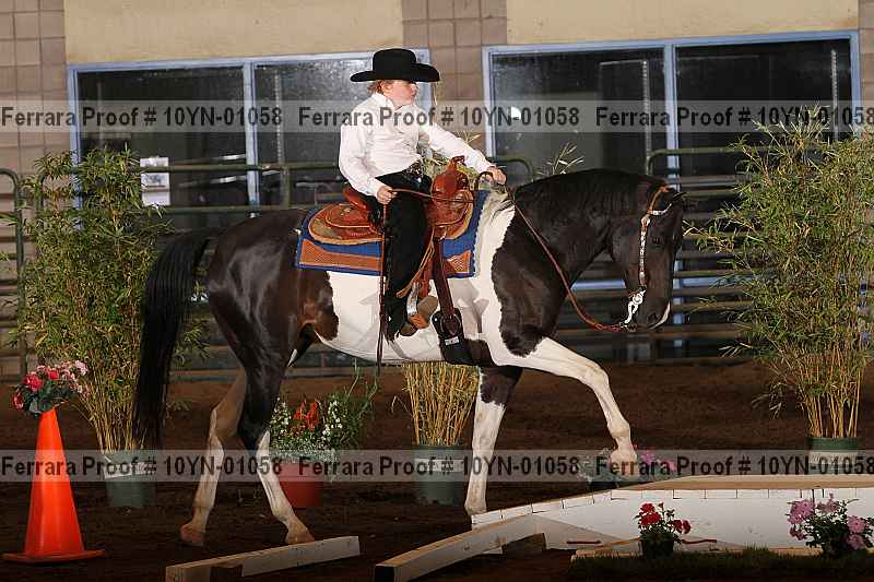 Proof 10yn-01058