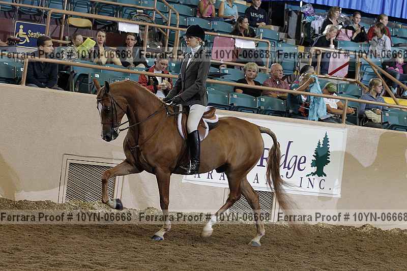 Proof 10yn-06668