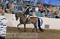 10yn-06700 proof