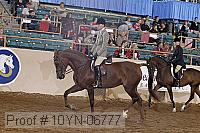 10yn-06777 proof