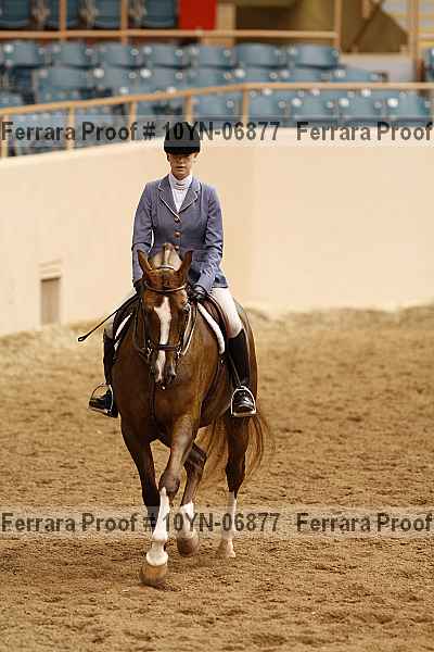 Proof 10yn-06877