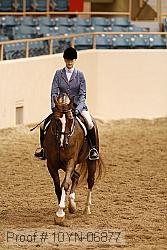 10yn-06877 proof