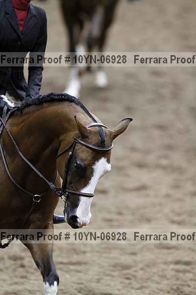 Proof 10yn-06928