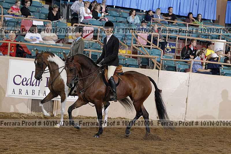 Proof 10yn-07006