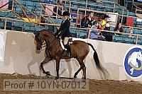10yn-07012 proof