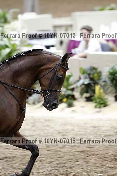 Proof 10yn-07015