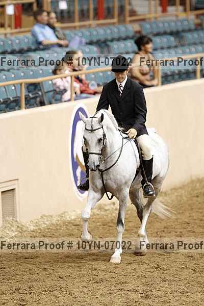 Proof 10yn-07022